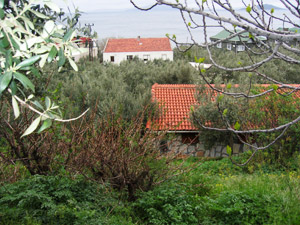 Gästehaus 1